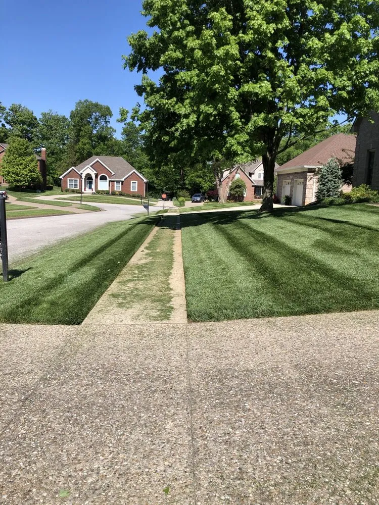 Professional lawn mowing service in Louisville, KY by Sinai lawn care