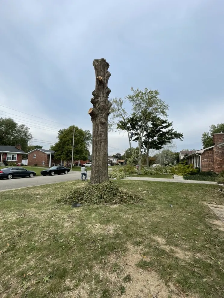 Reliable outdoor landscaping for beautiful yards across Louisville, KY - Sinai lawn care