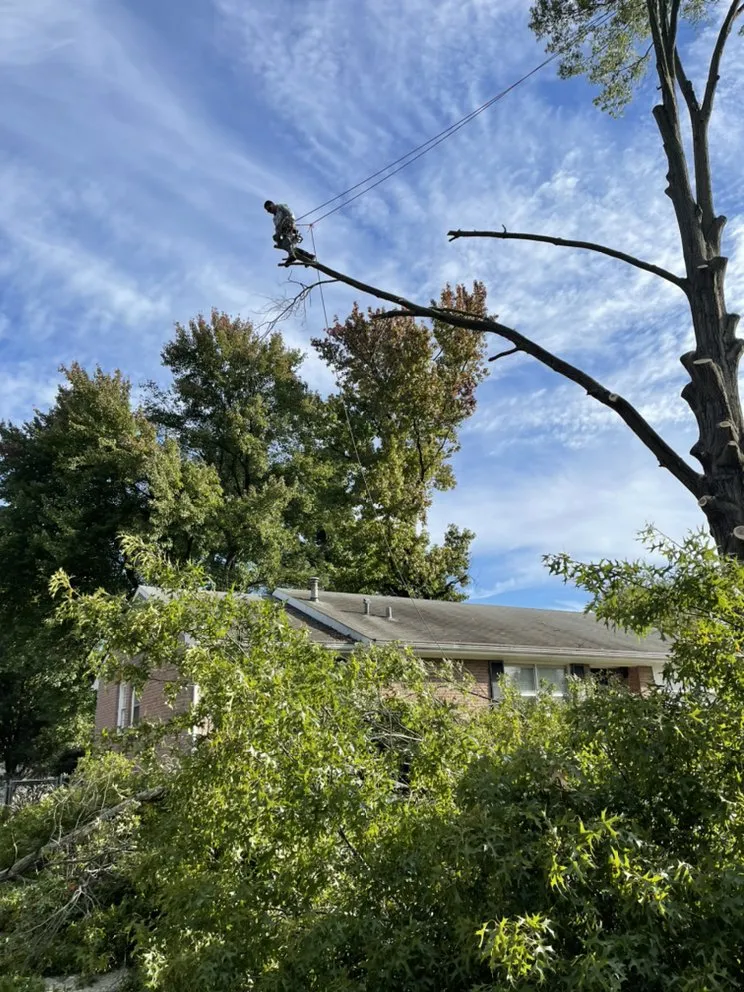 Custom residential landscaping for beautiful yards across Louisville, KY - Sinai lawn care