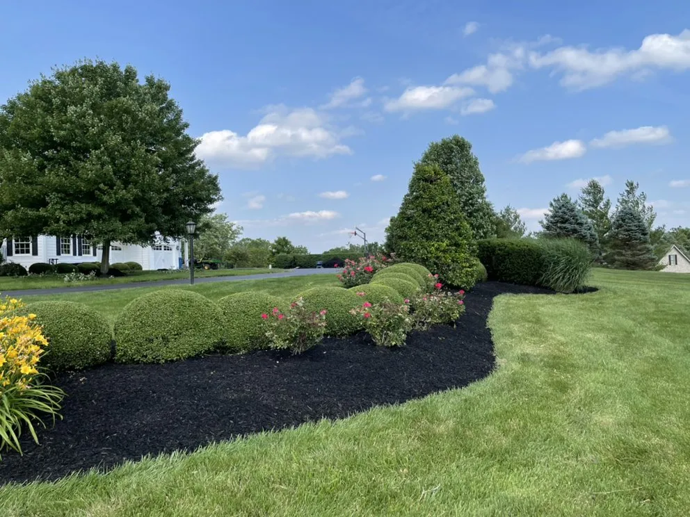 Custom yard cleanup service in Louisville, KY by Sinai lawn care