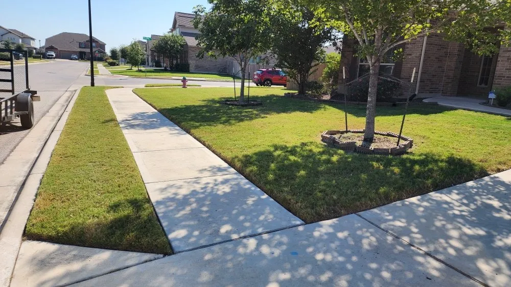Professional yard maintenance experts serving Austin, TX - Sinai Tree and Lawn Care Experts