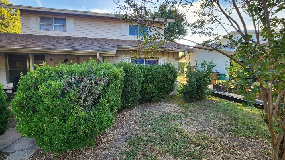 Professional lawn mowing service for year-round maintenance in Austin, TX by Sinai Tree and Lawn Care Experts