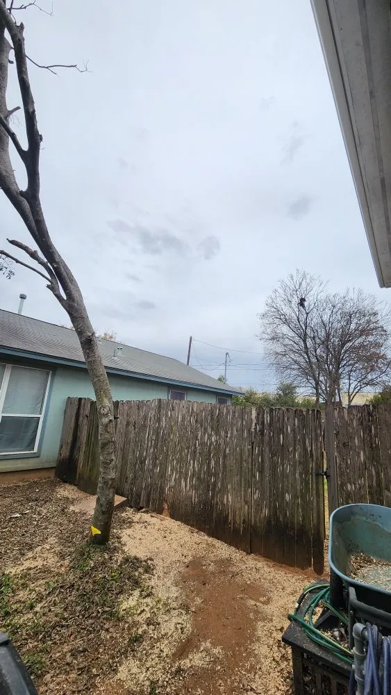 Top-rated yard maintenance experts serving Austin, TX - Sinai Tree and Lawn Care Experts