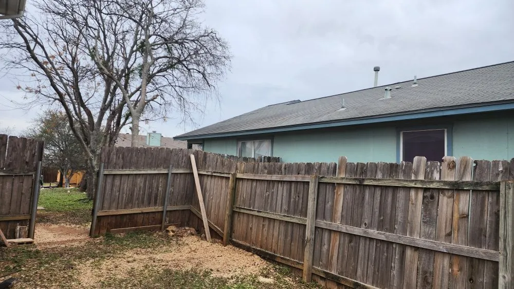 Custom yard cleanup service experts serving Austin, TX - Sinai Tree and Lawn Care Experts