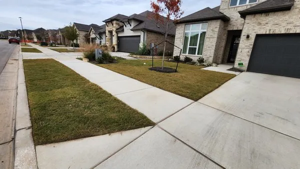 Sinai Tree and Lawn Care Experts Logo