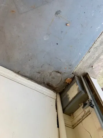 Top-rated lawn care service in Norfolk, VA - Sincere Cleaning And Lawn Care