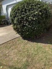 Trusted garden landscaping experts serving Norfolk, VA - Sincere Cleaning And Lawn Care