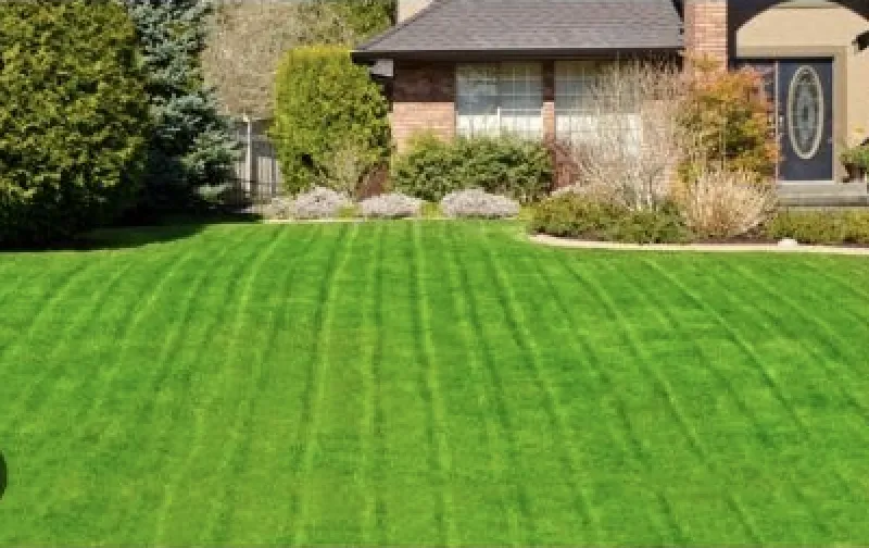 Local garden landscaping experts serving Dallas, TX - Sincere Lawn Care