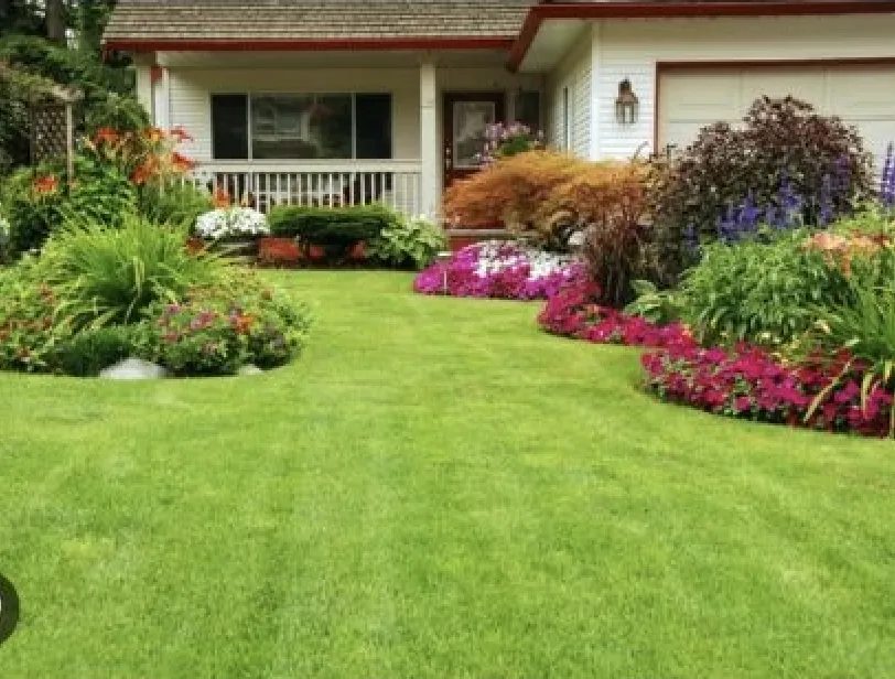 Reliable outdoor landscaping in Dallas, TX - Sincere Lawn Care