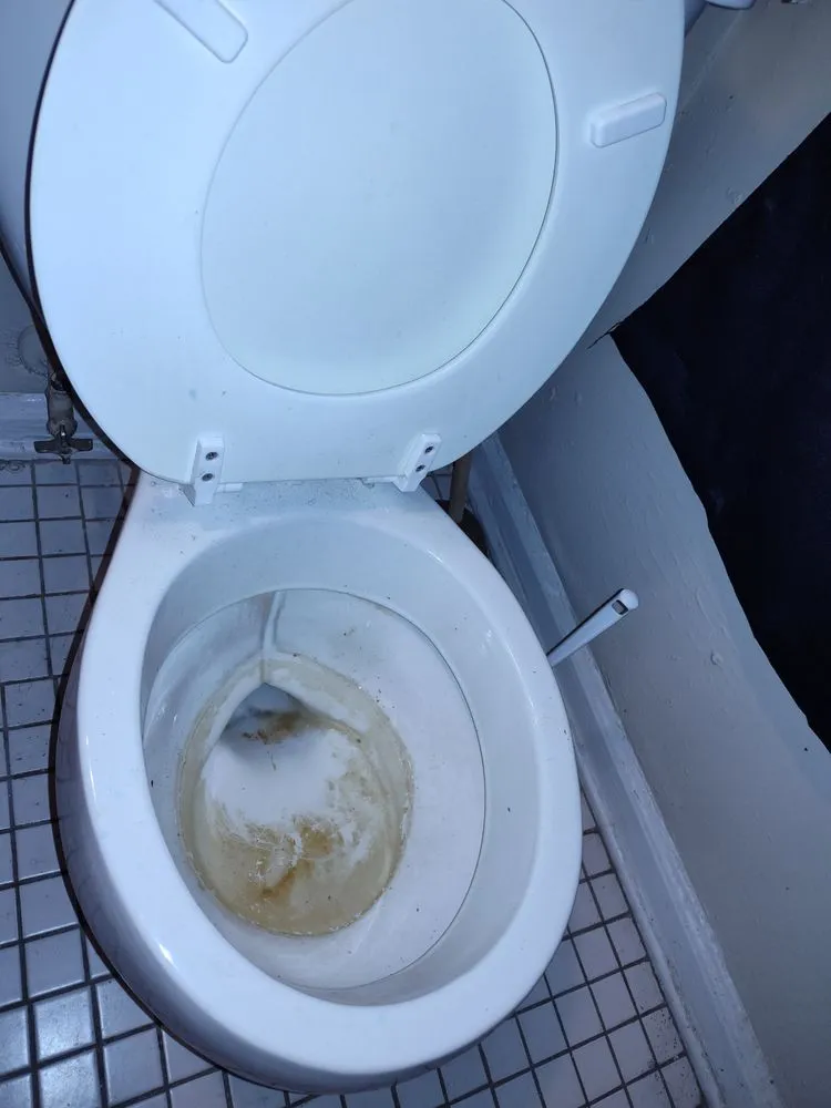 Trusted yard cleanup service in Indianapolis, IN by Sincere Property Solutions