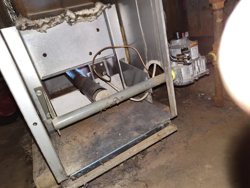 Trusted yard maintenance in Indianapolis, IN by Sincere Property Solutions