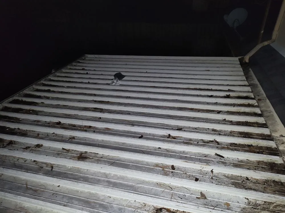 Affordable residential landscaping with custom design in Indianapolis, IN by Sincere Property Solutions