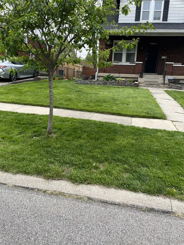 Top-rated landscape design for beautiful yards across Cincinnati, OH - Sincerely Can Fix It