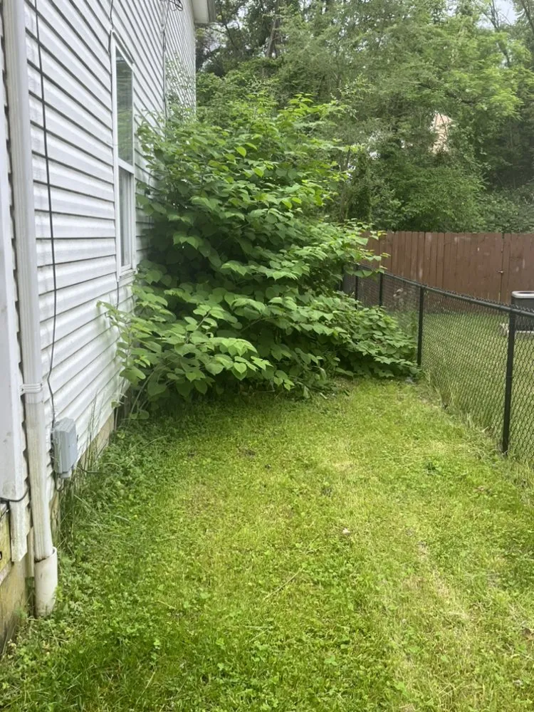 Trusted outdoor landscaping in Cincinnati, OH by Sincerely Can Fix It