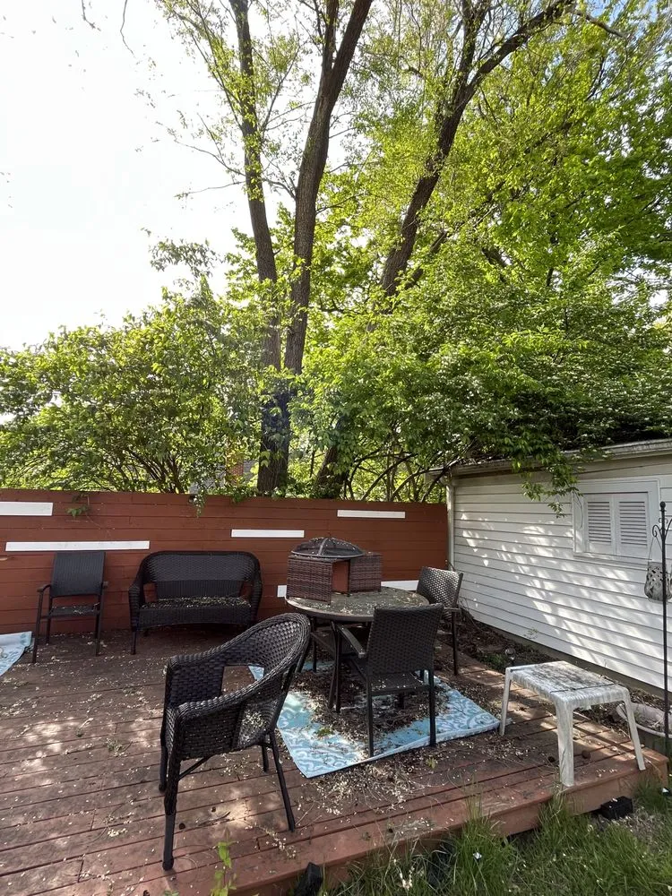 Professional lawn care service in Cincinnati, OH - Sincerely Can Fix It