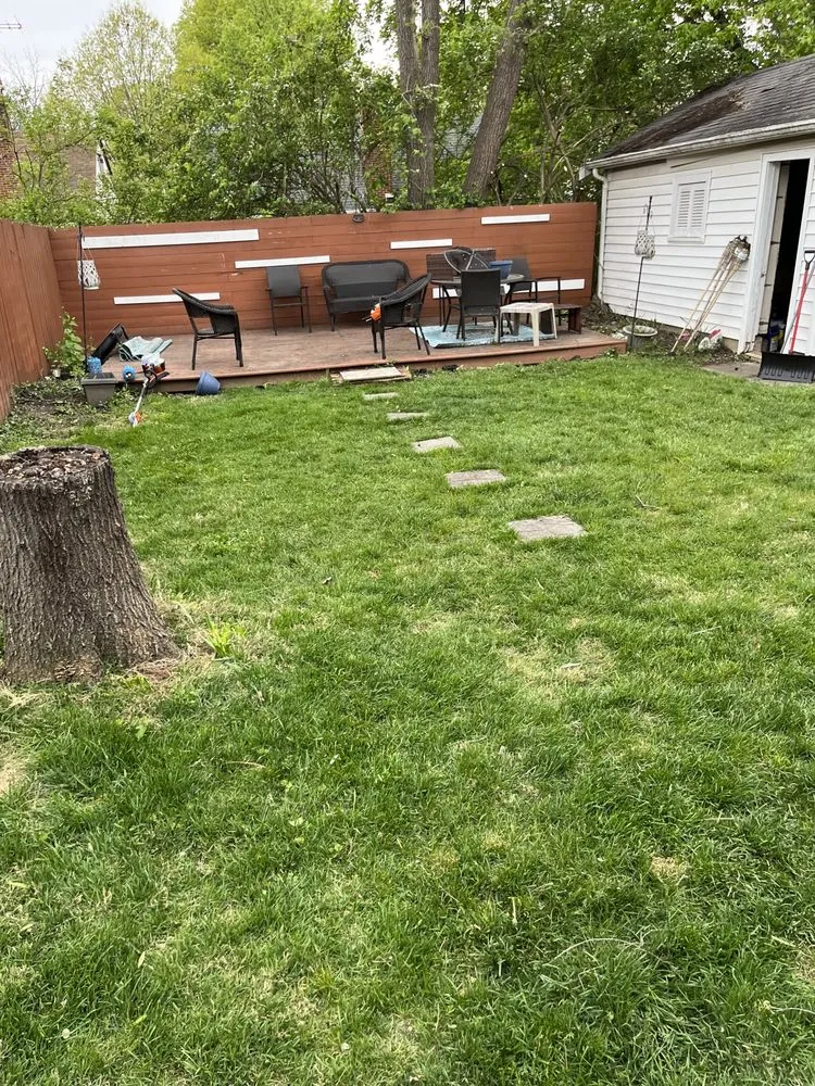Affordable yard cleanup service for year-round maintenance in Cincinnati, OH by Sincerely Can Fix It