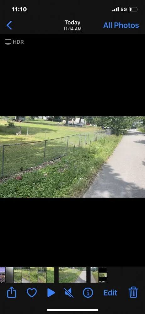 Affordable lawn mowing service experts serving Chattanooga, TN - Sincerely Your’s Lawncare