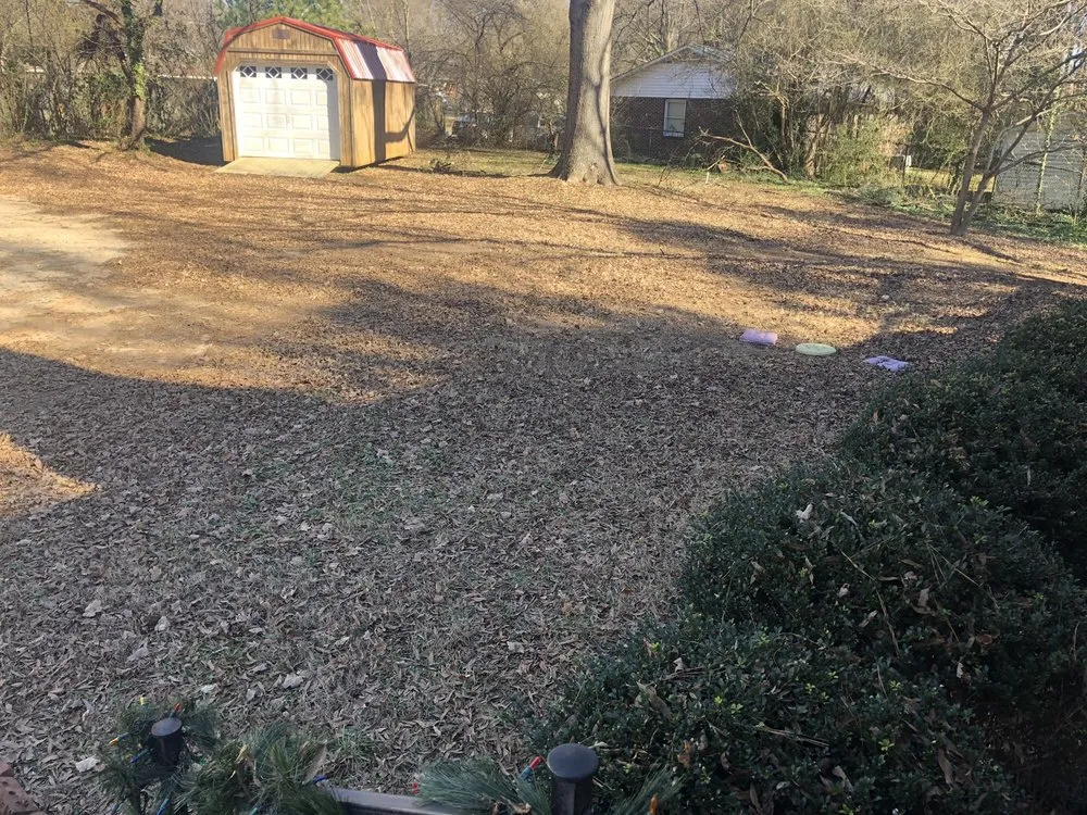 Professional yard maintenance in Charlotte, NC by Sincere's Pineneedles