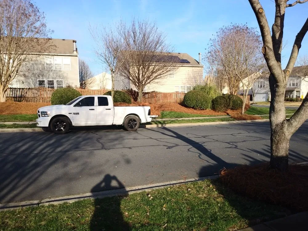 Professional landscape design for homes in Charlotte, NC by Sincere's Pineneedles