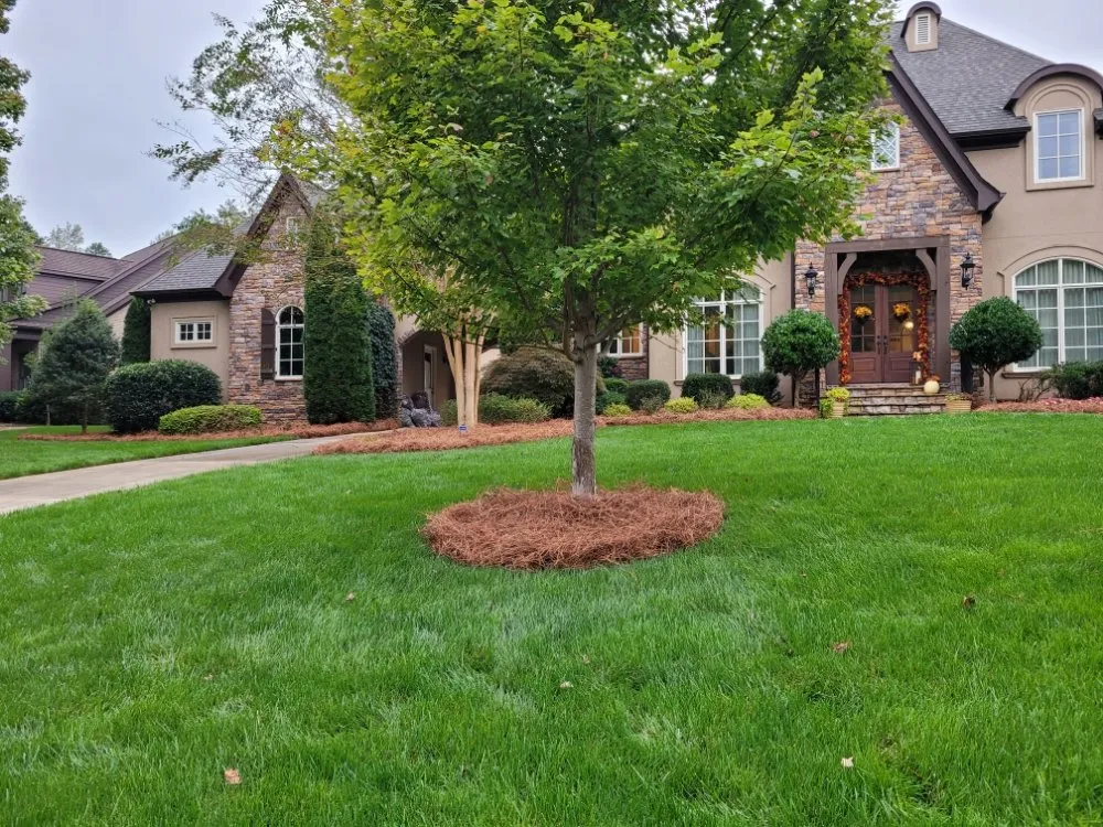 Local lawn mowing service for beautiful yards across Charlotte, NC - Sincere's Pineneedles