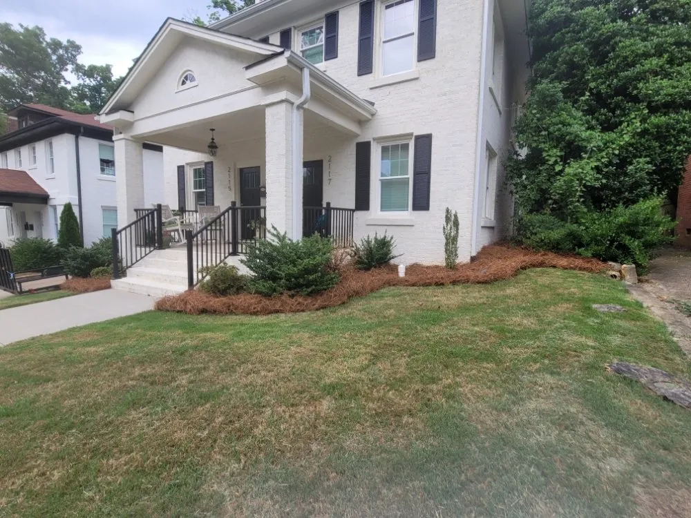 Expert lawn care service in Charlotte, NC by Sincere's Pineneedles