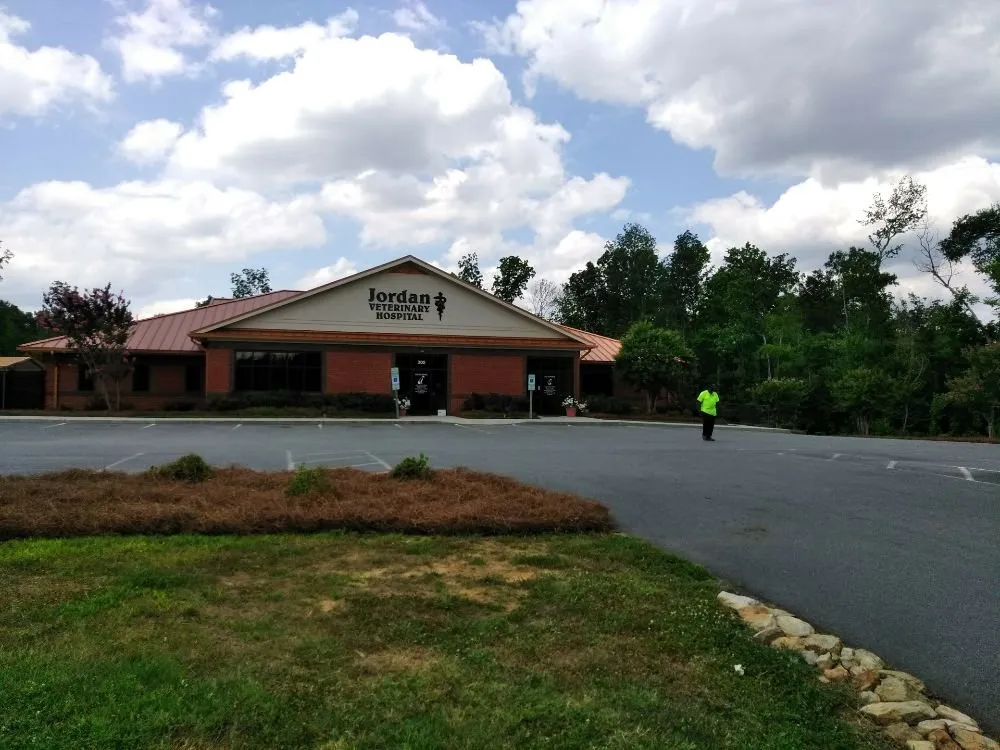 Trusted yard cleanup service for outdoor upgrades across Charlotte, NC - Sincere's Pineneedles