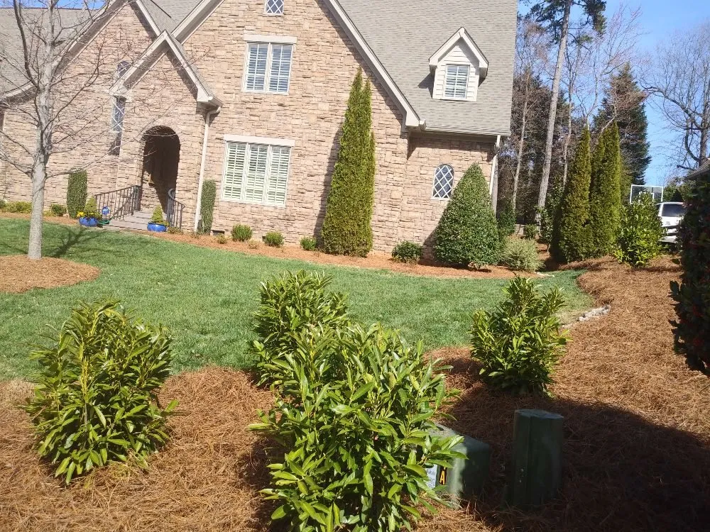 Reliable garden landscaping in Charlotte, NC by Sincere's Pineneedles