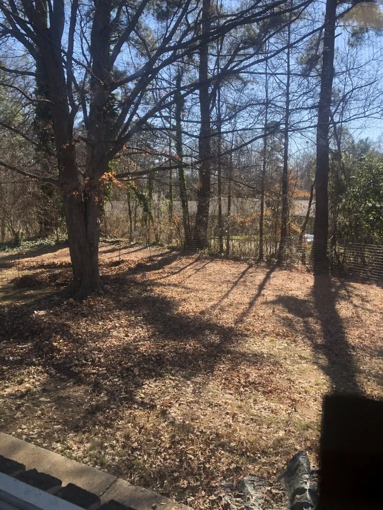 Local garden landscaping for year-round maintenance in Charlotte, NC by Sincere's Pineneedles