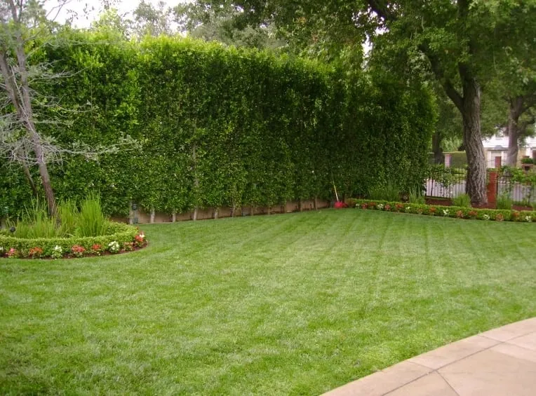 Trusted outdoor landscaping for outdoor upgrades across Pasadena, CA - Sinclair Landscaping Company