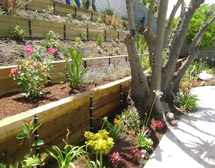 Local yard maintenance in Pasadena, CA by Sinclair Landscaping Company