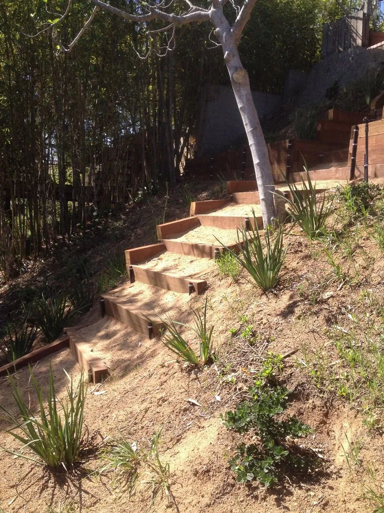 Affordable lawn care service in Pasadena, CA - Sinclair Landscaping Company