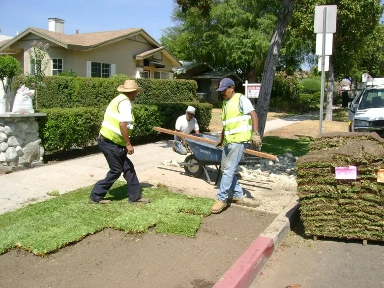 Custom yard maintenance in Pasadena, CA - Sinclair Landscaping Company