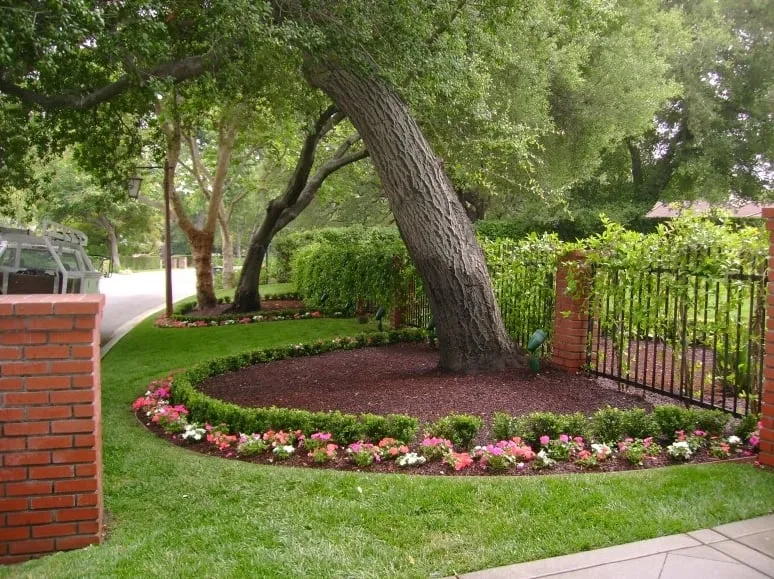 Top-rated landscape installation in Pasadena, CA - Sinclair Landscaping Company