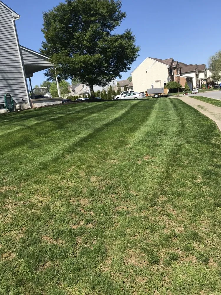 Professional landscape installation in Holmes, PA by Sinex Landscaping
