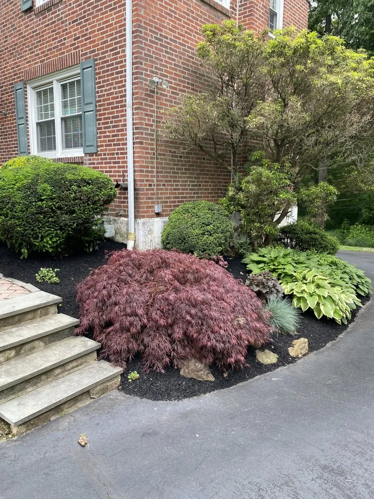 Affordable landscape installation in Holmes, PA by Sinex Landscaping
