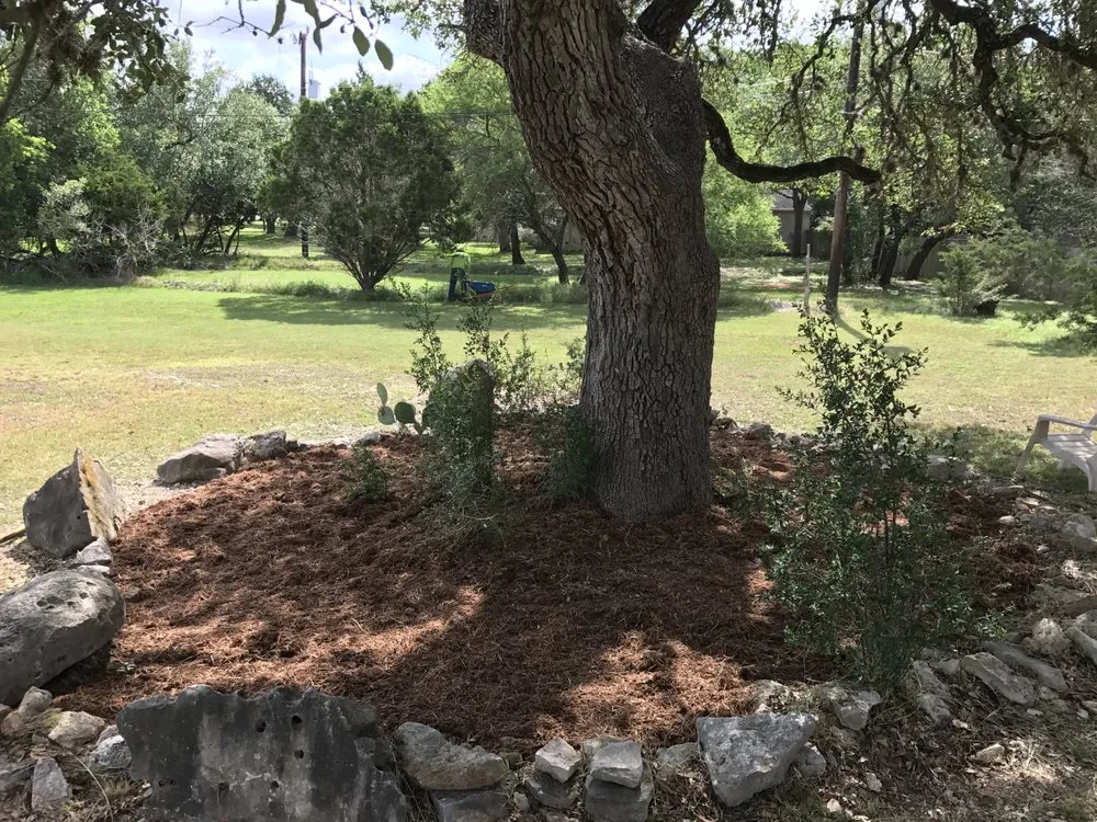 Top-rated residential landscaping for homes in Bulverde, TX by Singer Services