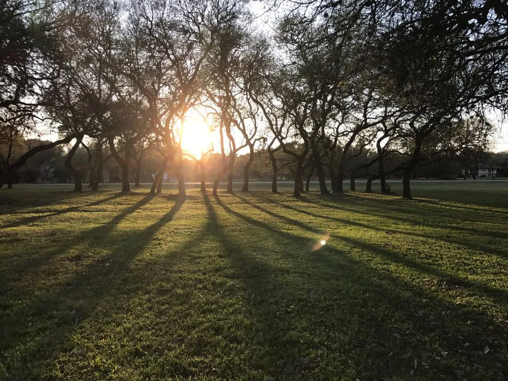 Top-rated lawn mowing service experts serving Bulverde, TX - Singer Services