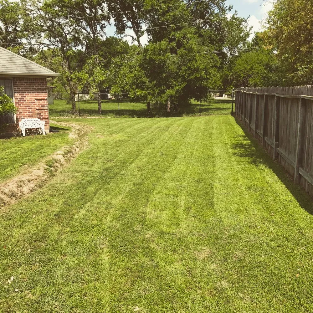 Affordable yard cleanup service in Bulverde, TX - Singer Services