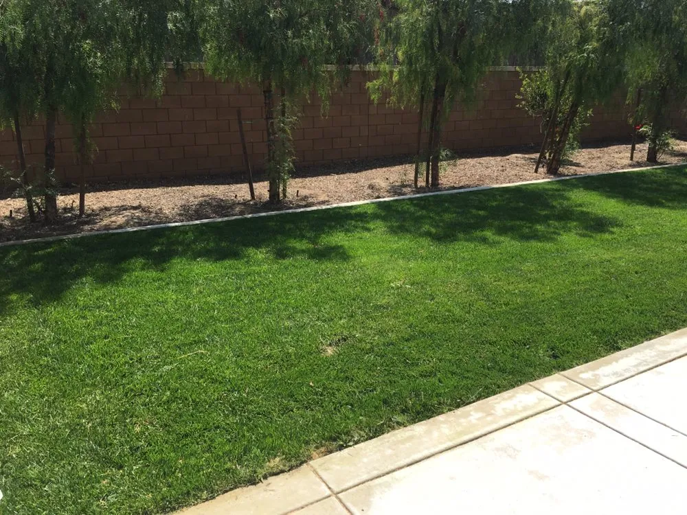 Expert lawn mowing service in Corona, CA - Singh's landscaping inc