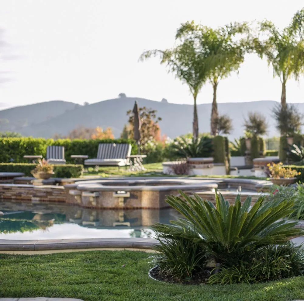 Trusted yard cleanup service in Corona, CA by Singh's landscaping inc