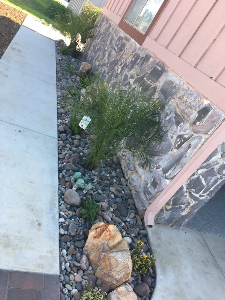 Expert yard cleanup service for beautiful yards across Corona, CA - Singh's landscaping inc