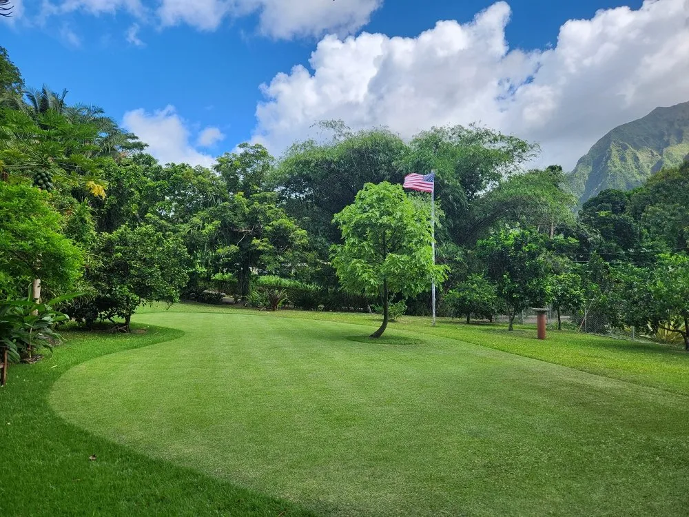 Affordable landscaping services near you across Kaneohe, HI - Singlehurst Landscape And Maintenance