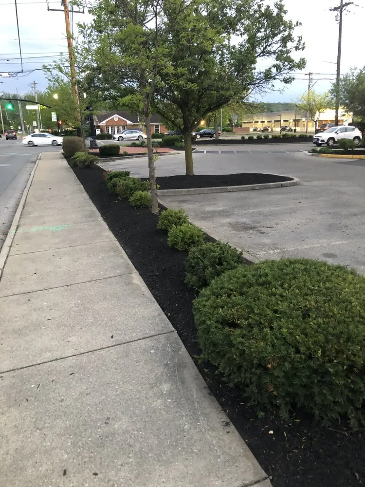 Top-rated landscaping services experts serving Cincinnati, OH - Singler Seal Coat Landscape’s Remodeling & More