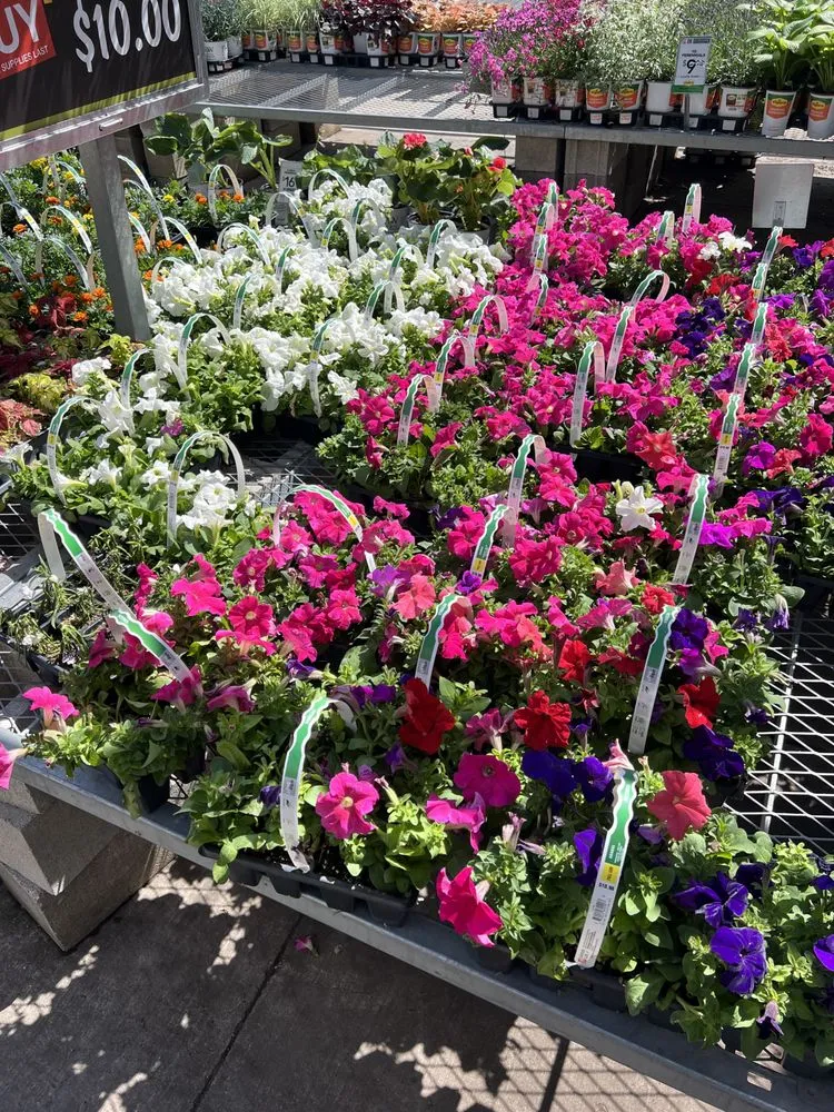 Trusted residential landscaping in Chicago, IL by Singleton Landscaping and Tree