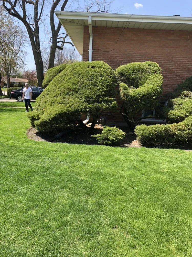 Trusted landscape installation for outdoor upgrades in Chicago, IL by Singleton Landscaping and Tree