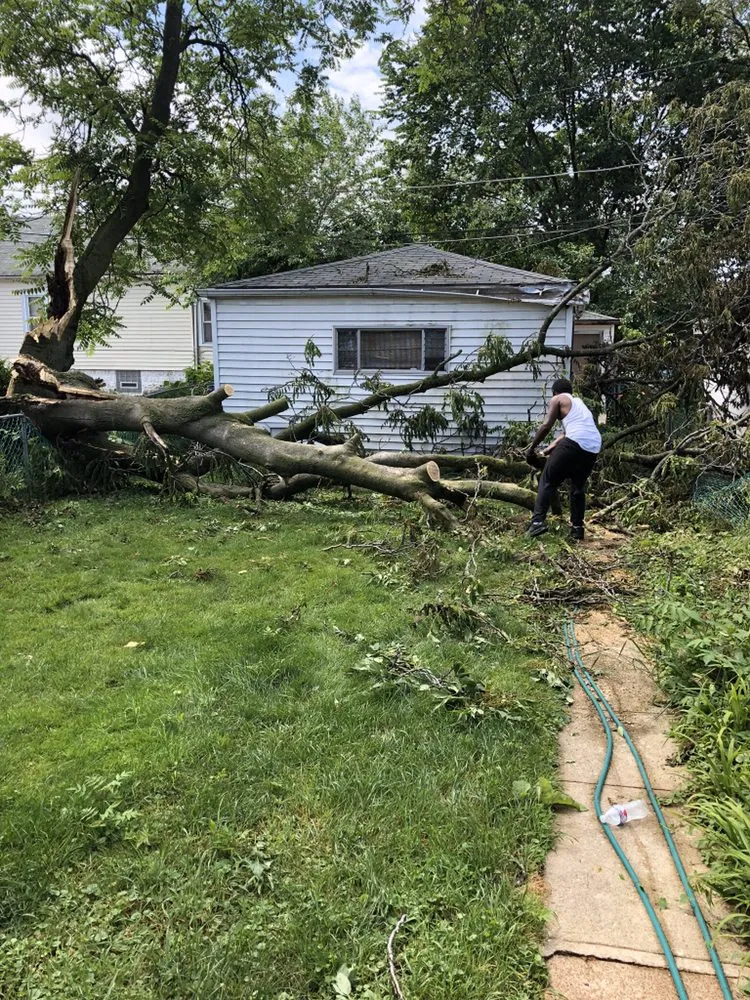 Expert landscaping services for outdoor upgrades in Chicago, IL by Singleton Landscaping and Tree