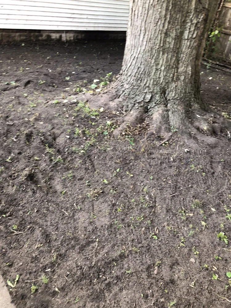 Expert landscape installation in Chicago, IL - Singleton Landscaping and Tree