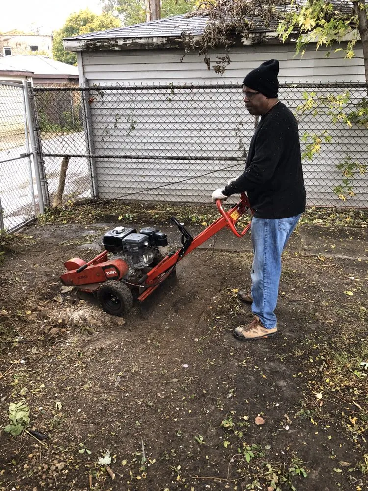 Affordable garden landscaping in Chicago, IL by Singleton Landscaping and Tree