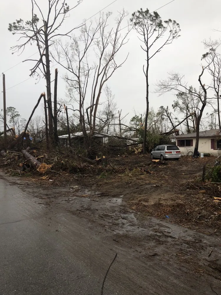 Reliable residential landscaping for outdoor upgrades across Chicago, IL - Singleton Landscaping and Tree