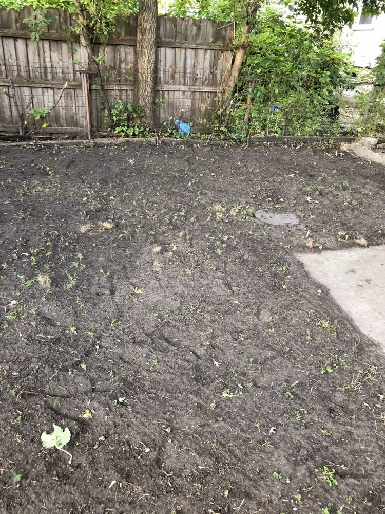 Affordable residential landscaping experts serving Chicago, IL - Singleton Landscaping and Tree